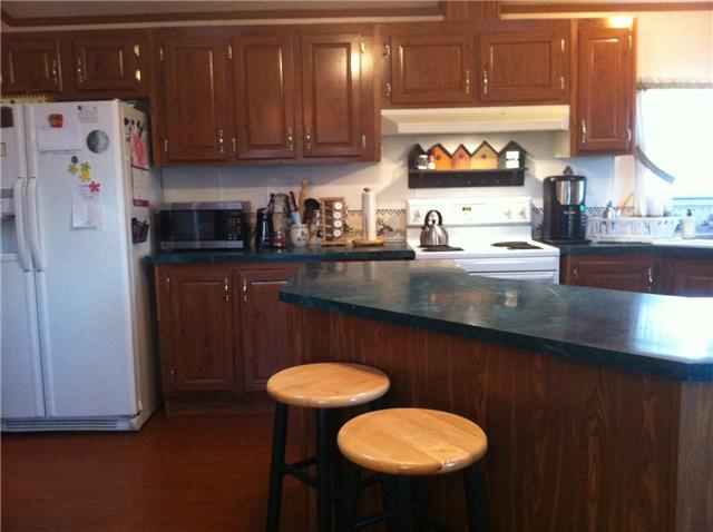 5138 Williams Road Cross Plains, TN 37049 - Photo 13 of 20 Kitchen with bar