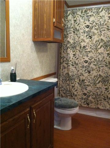 5138 Williams Road Cross Plains, TN 37049 - Photo 16 of 20 hall bath