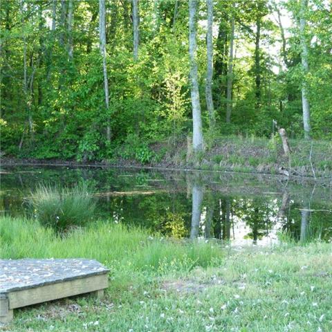 5138 Williams Road Cross Plains, TN 37049 - Photo 3 of 20 Pond at the back