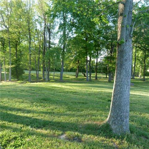 5138 Williams Road Cross Plains, TN 37049 - Photo 4 of 20 view of the yard
