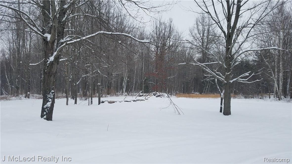3685 Rowland Road Vassar, MI 48768 - Photo 4 of 57 20171215_135823.jpg