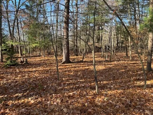 $29,000 | V/l Bedau Street, Montague, MI 49437