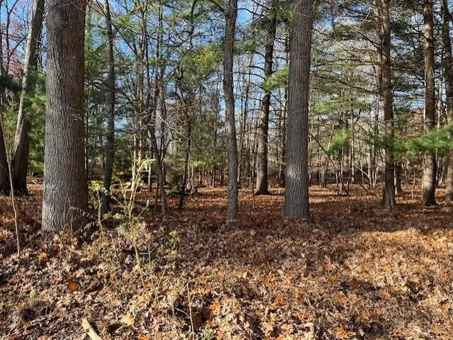 $29,000 | V/l Bedau Street, Montague, MI 49437