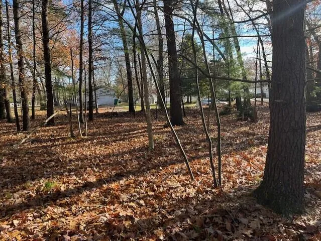 $29,000 | V/l Bedau Street, Montague, MI 49437