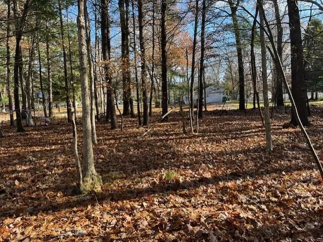 $29,000 | V/l Bedau Street, Montague, MI 49437