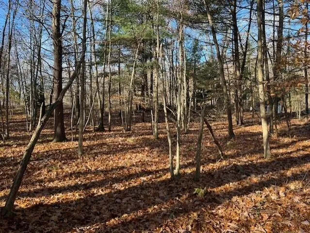 $29,000 | V/l Bedau Street, Montague, MI 49437