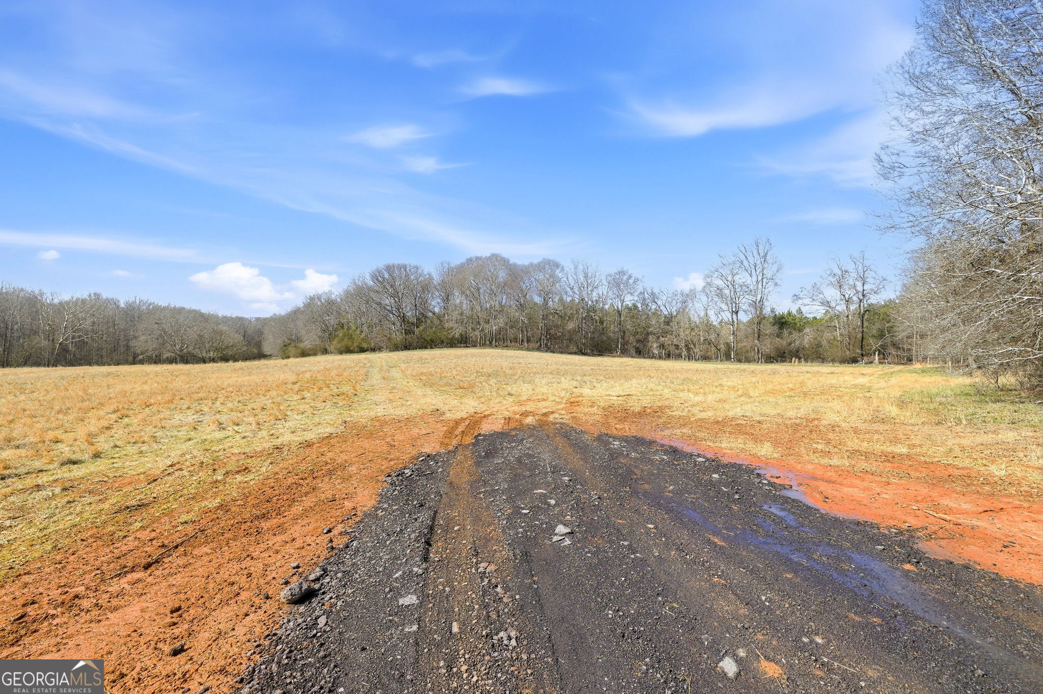 0 Highway 334 Nicholson, GA 30565 - Photo 11 of 43
