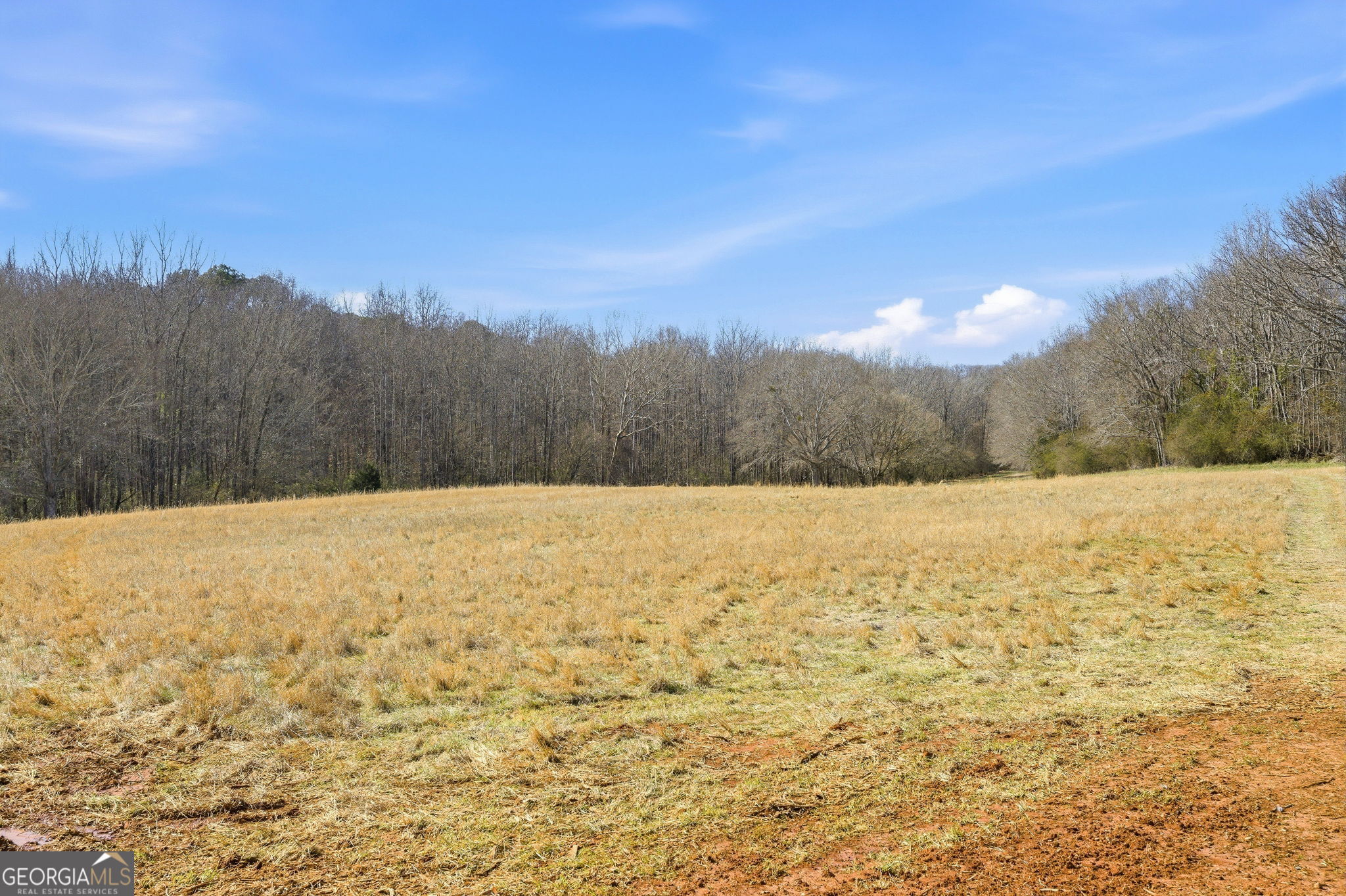 0 Highway 334 Nicholson, GA 30565 - Photo 12 of 43