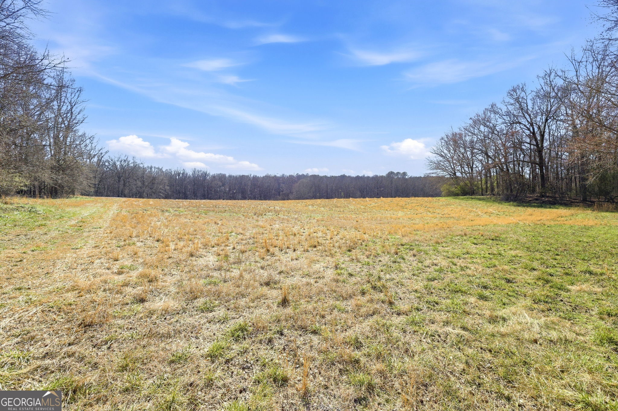 0 Highway 334 Nicholson, GA 30565 - Photo 13 of 43