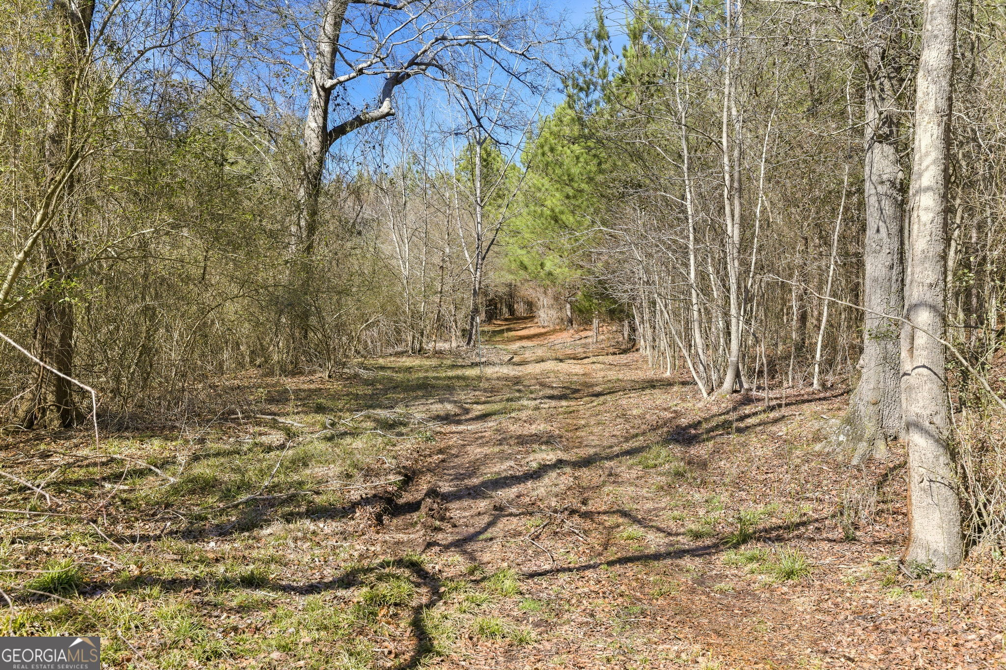 0 Highway 334 Nicholson, GA 30565 - Photo 15 of 43