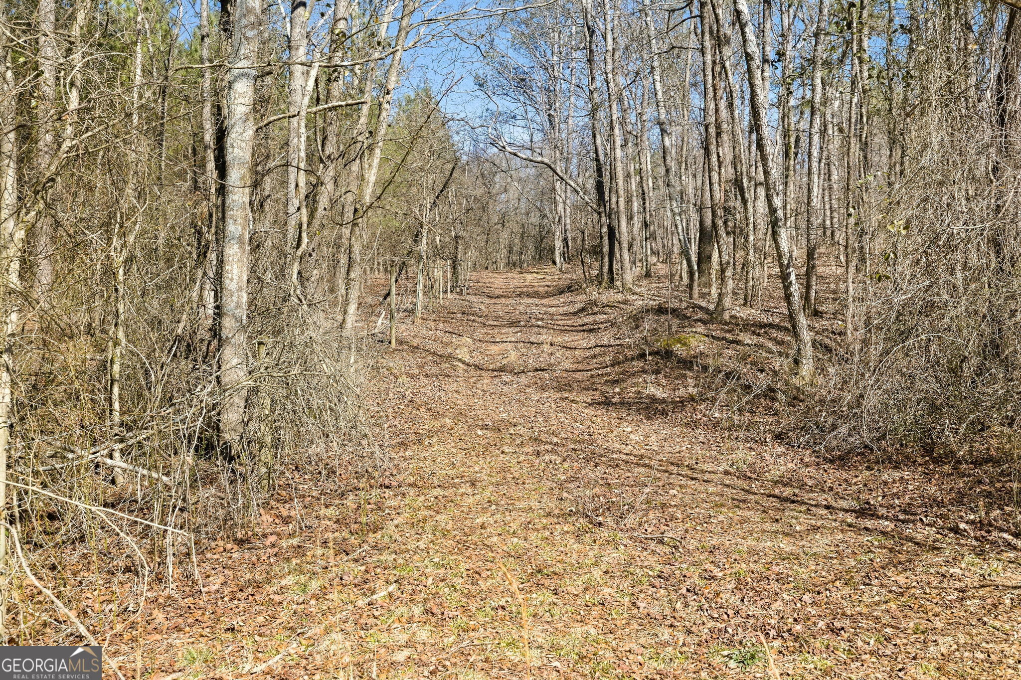 0 Highway 334 Nicholson, GA 30565 - Photo 16 of 43