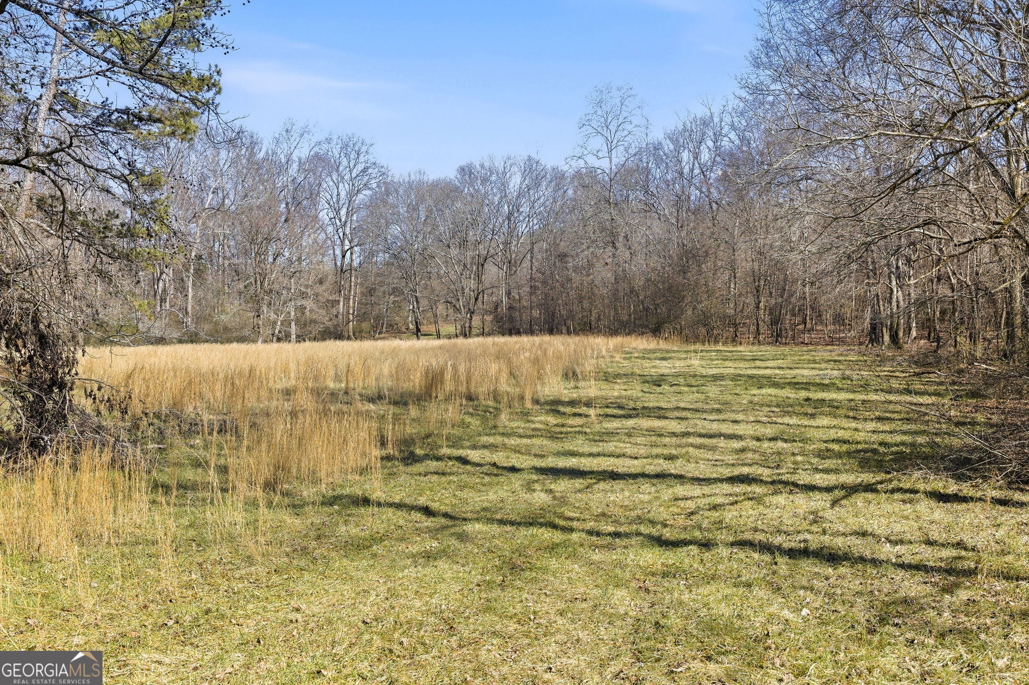 0 Highway 334 Nicholson, GA 30565 - Photo 17 of 43