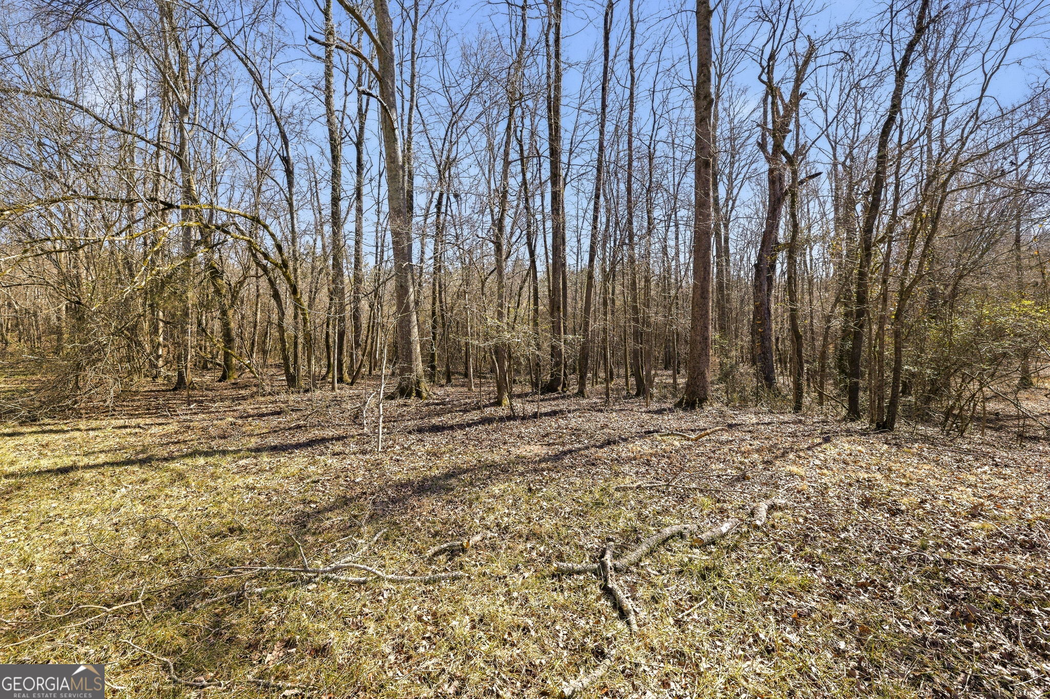 0 Highway 334 Nicholson, GA 30565 - Photo 18 of 43