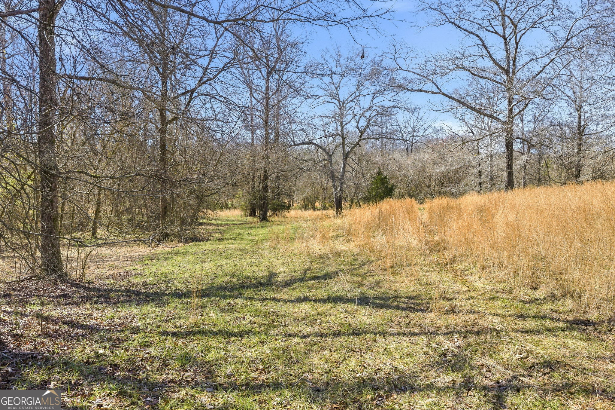 0 Highway 334 Nicholson, GA 30565 - Photo 19 of 43