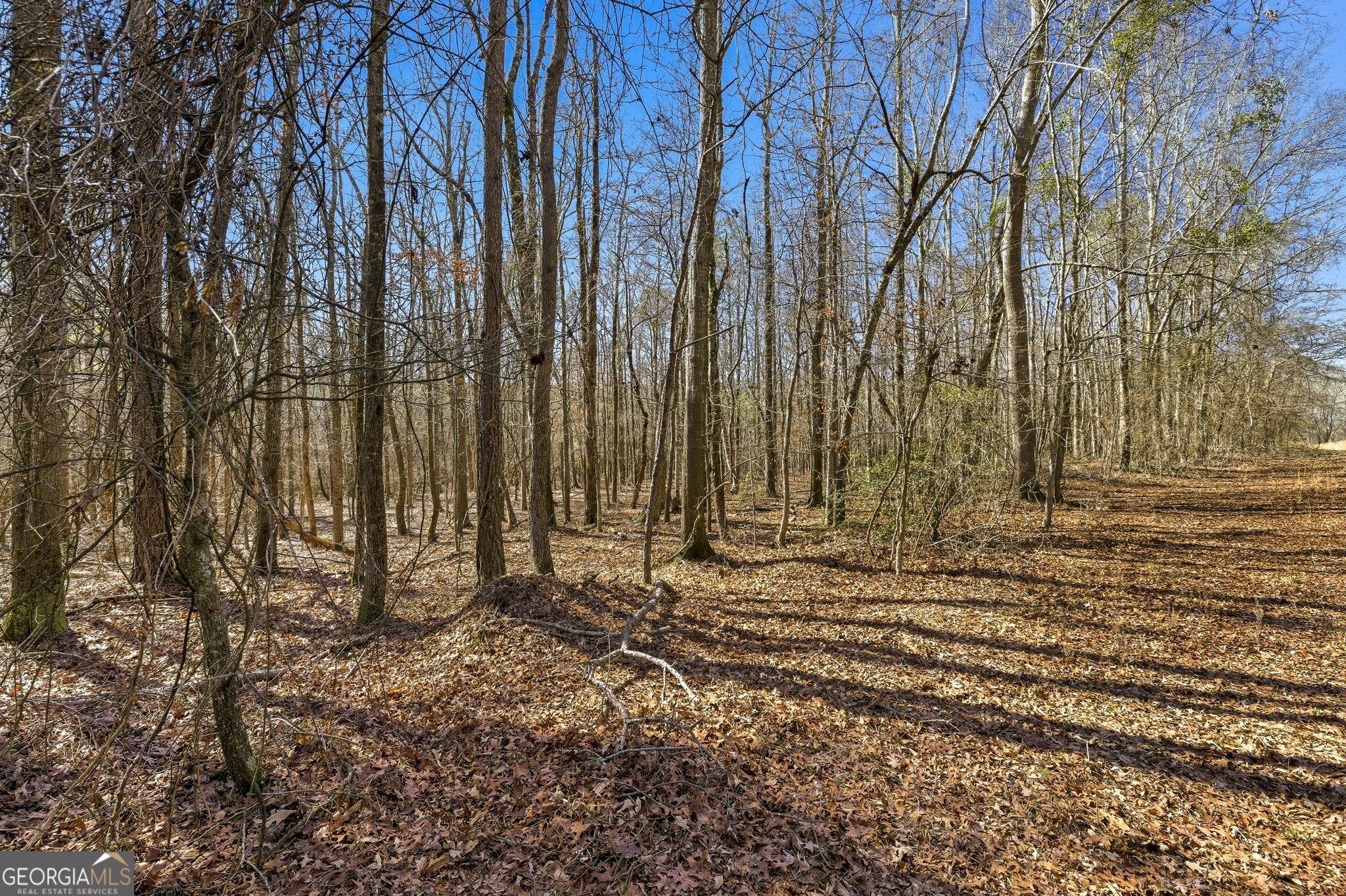 0 Highway 334 Nicholson, GA 30565 - Photo 20 of 43