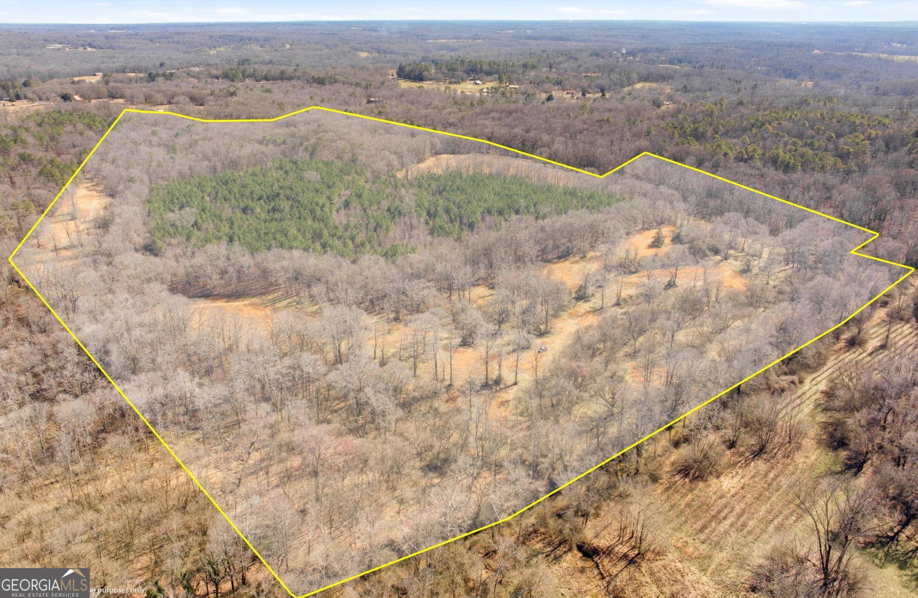 0 Highway 334 Nicholson, GA 30565 - Photo 2 of 43