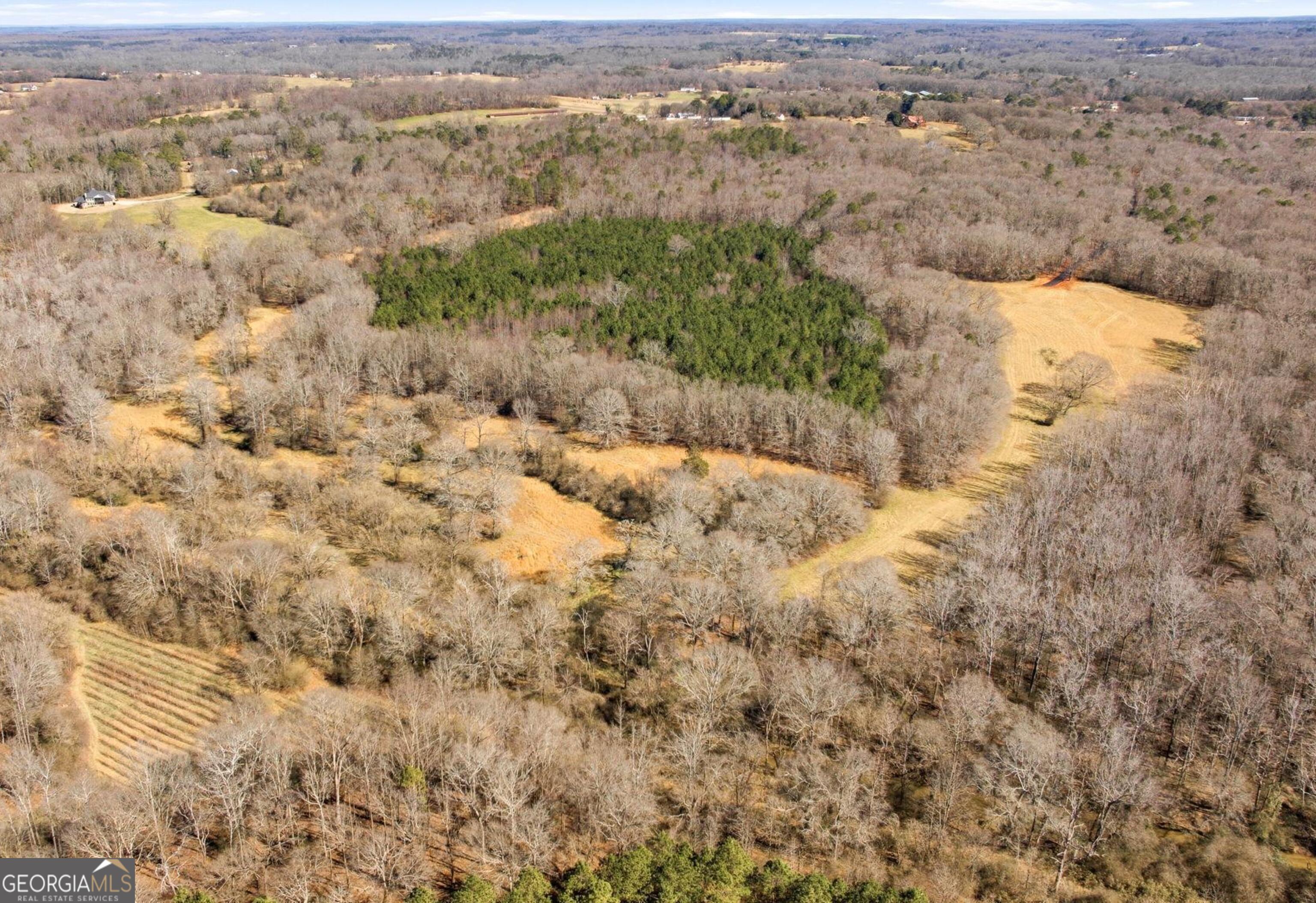 0 Highway 334 Nicholson, GA 30565 - Photo 21 of 43