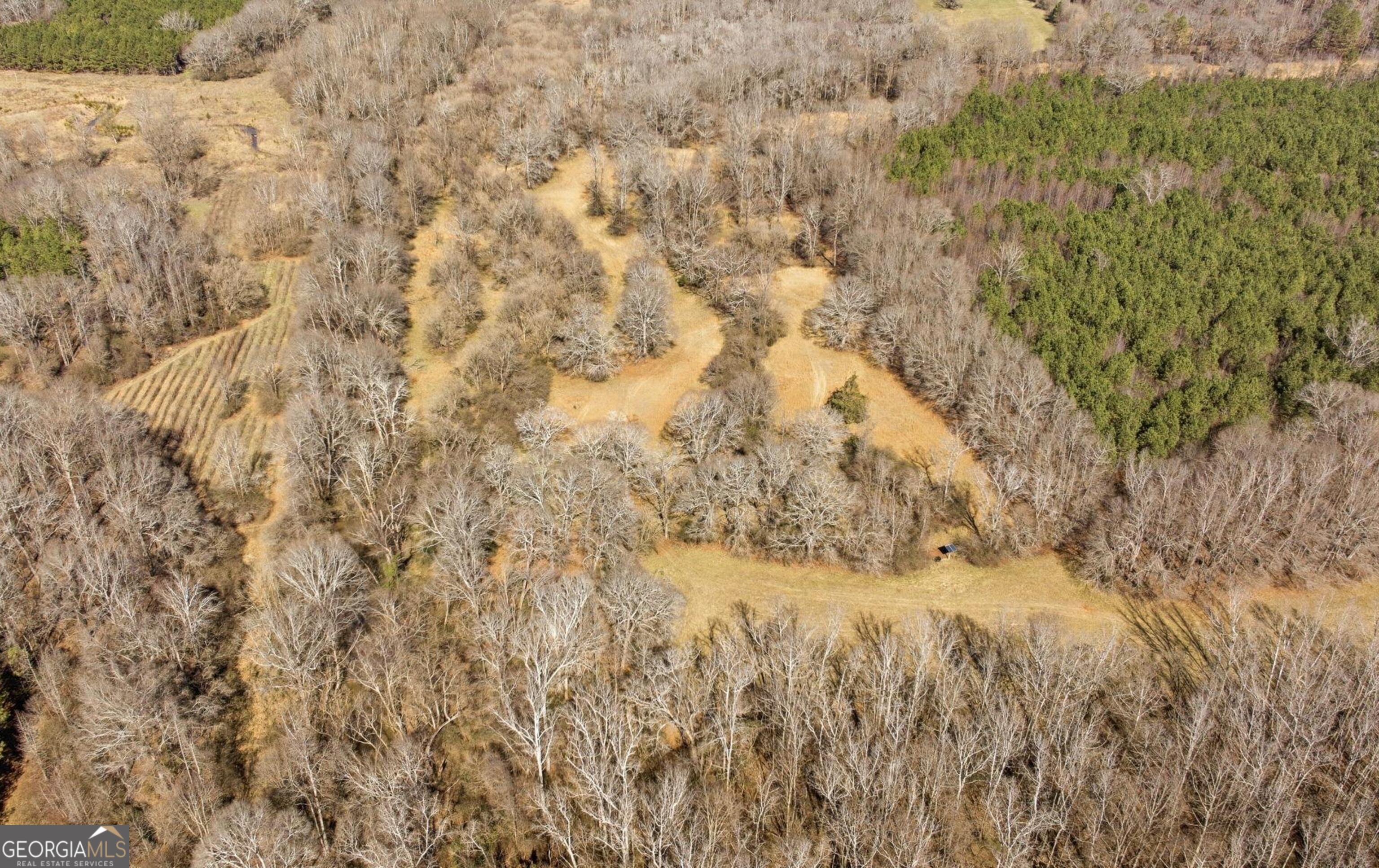 0 Highway 334 Nicholson, GA 30565 - Photo 22 of 43