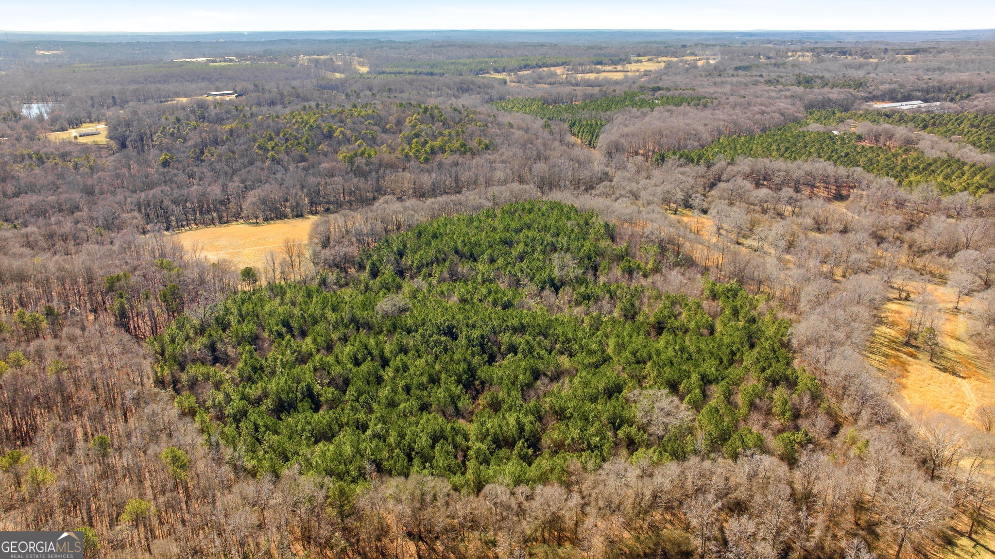 0 Highway 334 Nicholson, GA 30565 - Photo 23 of 43