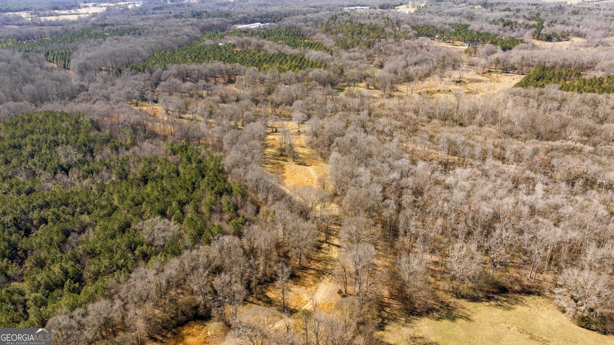 0 Highway 334 Nicholson, GA 30565 - Photo 24 of 43