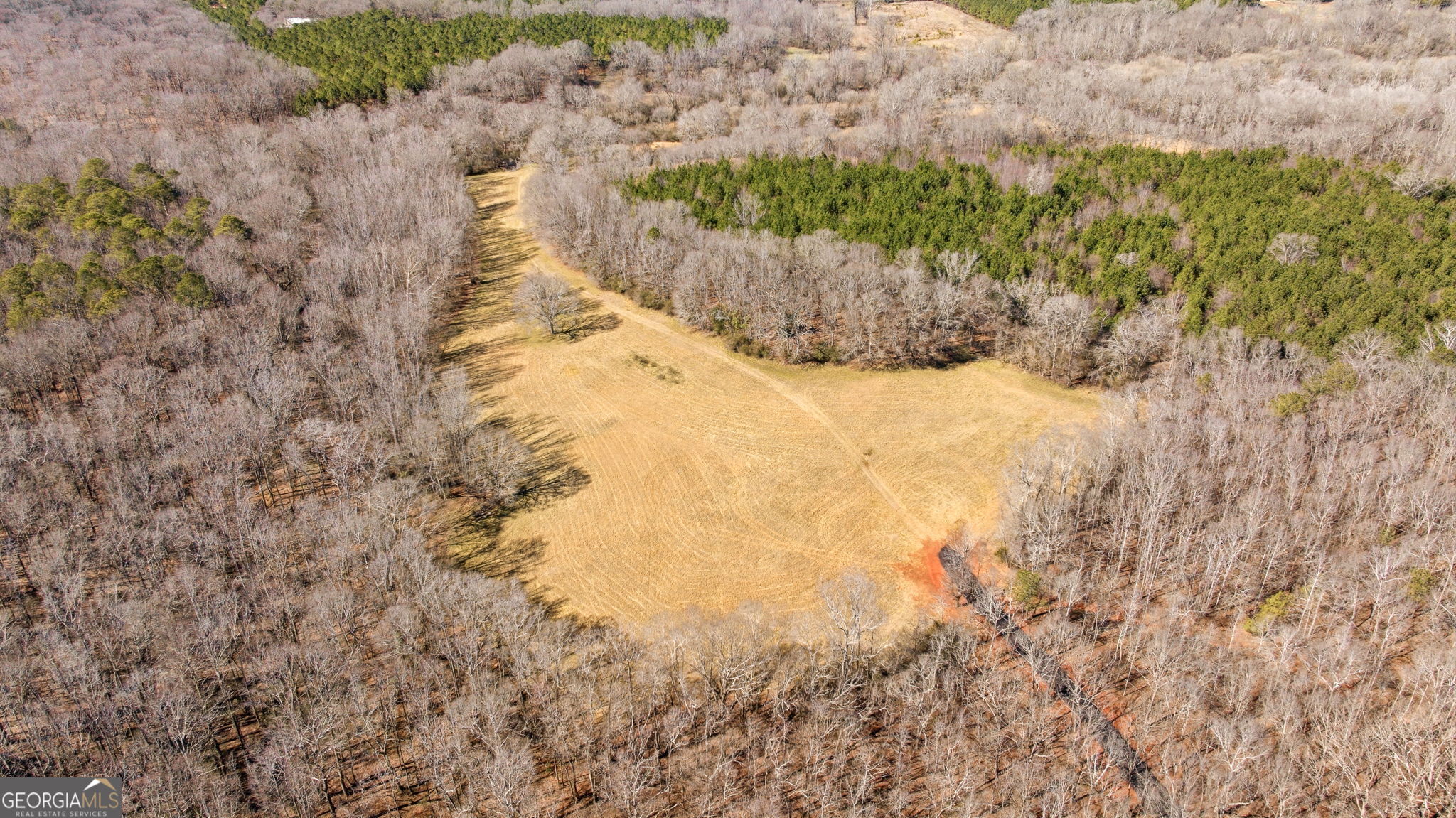 0 Highway 334 Nicholson, GA 30565 - Photo 26 of 43