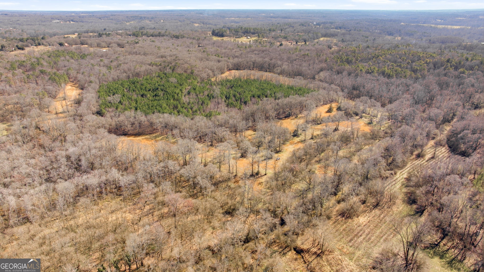 0 Highway 334 Nicholson, GA 30565 - Photo 3 of 43