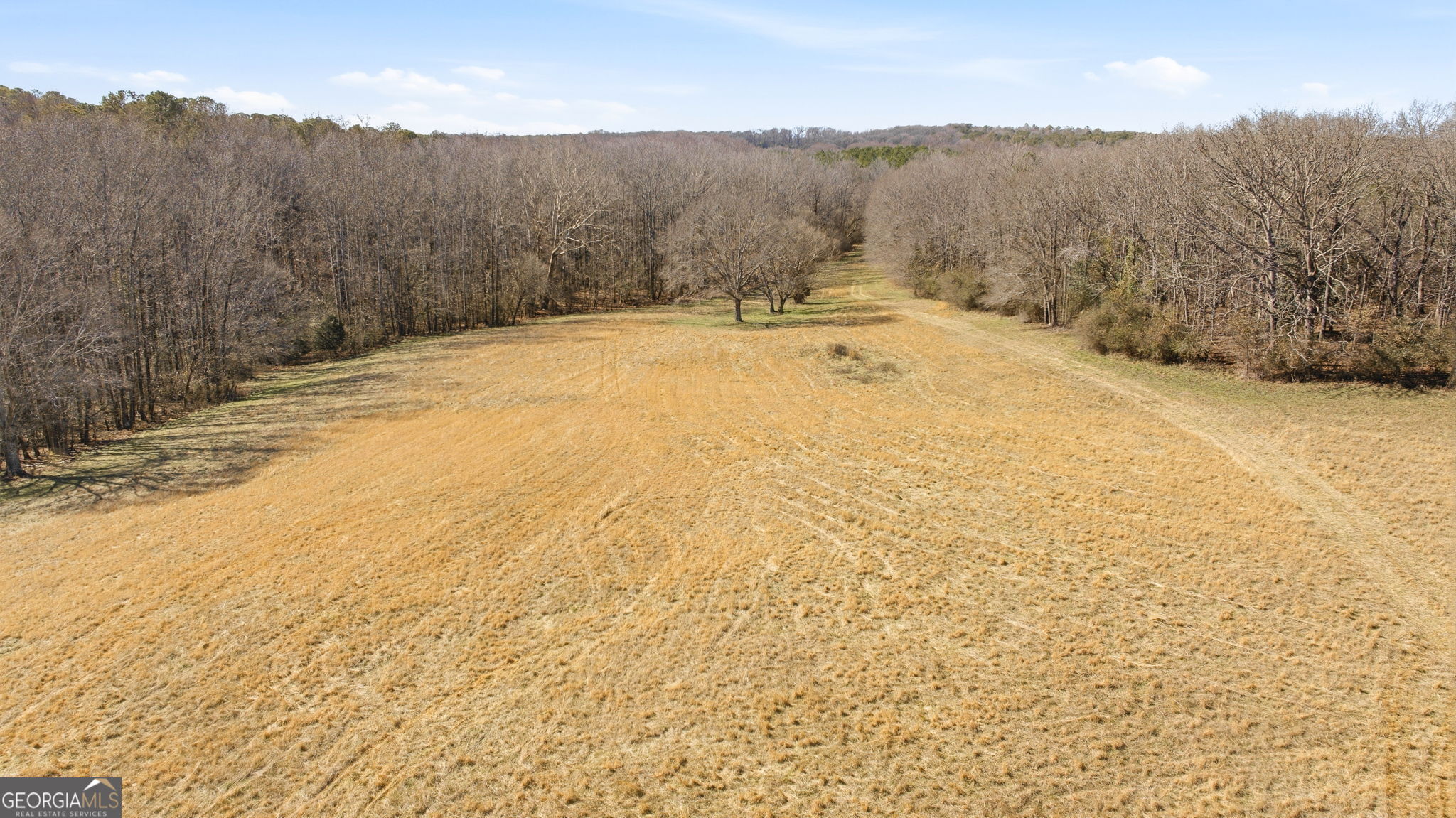 0 Highway 334 Nicholson, GA 30565 - Photo 35 of 43