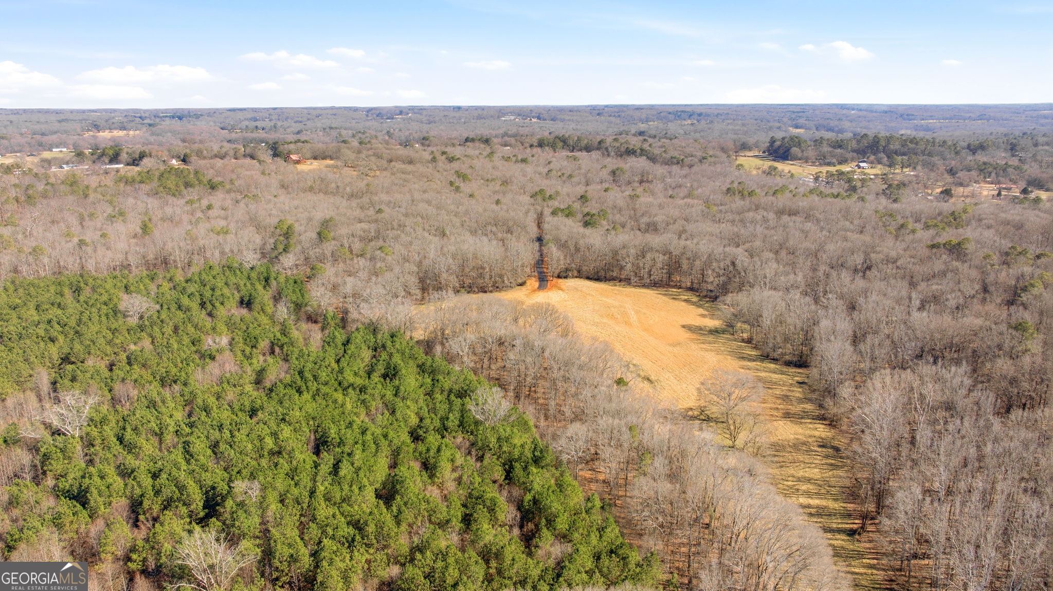 0 Highway 334 Nicholson, GA 30565 - Photo 36 of 43