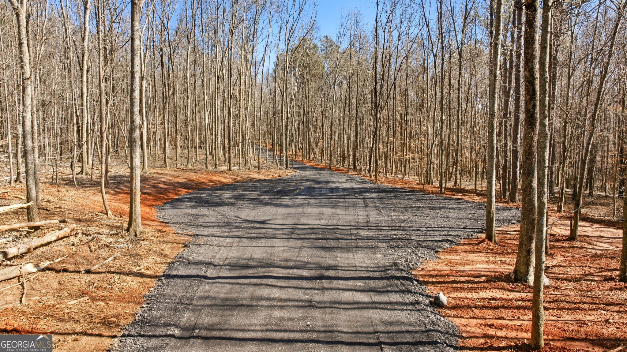 0 Highway 334 Nicholson, GA 30565 - Photo 39 of 43