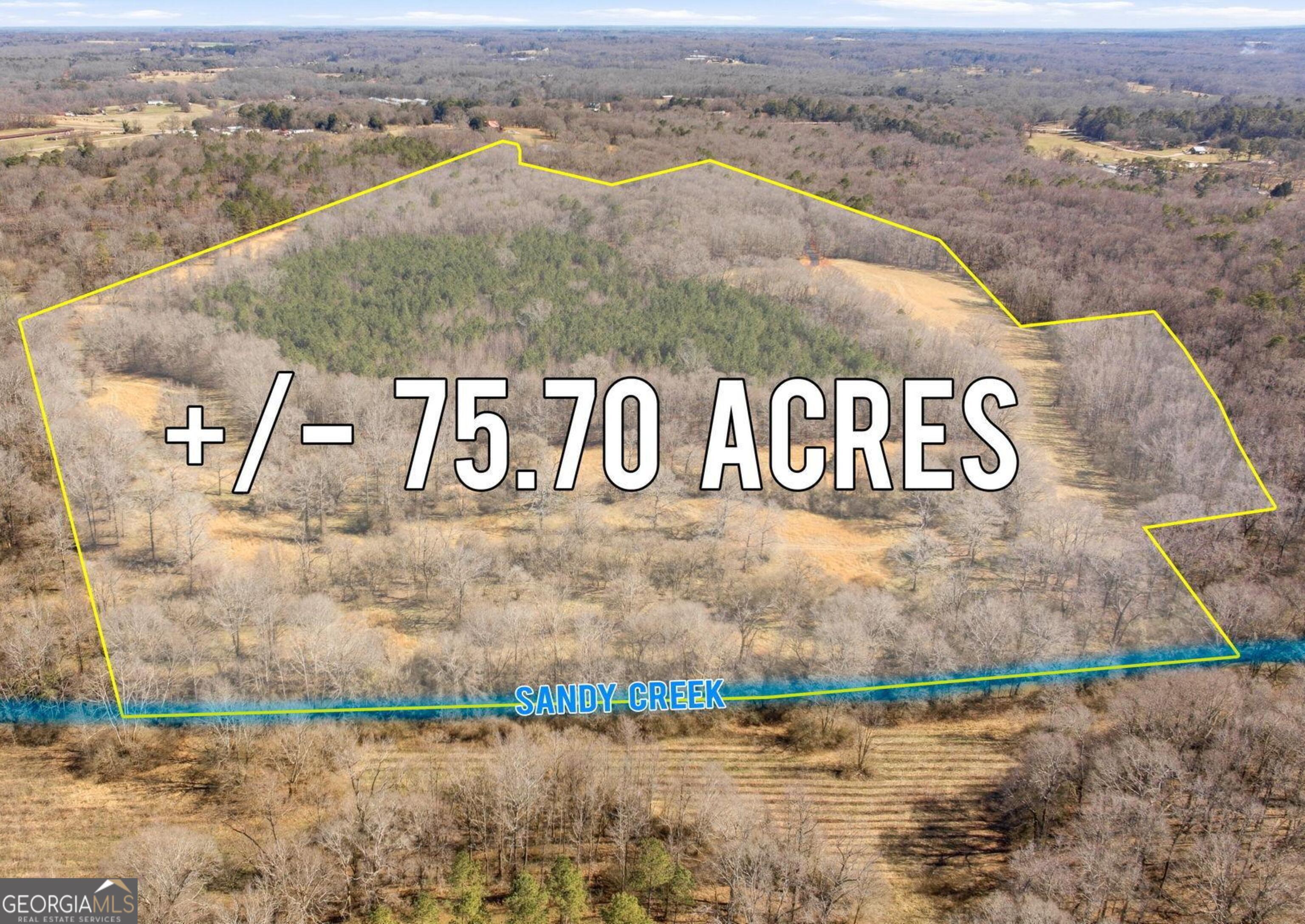 0 Highway 334 Nicholson, GA 30565 - Photo 4 of 43