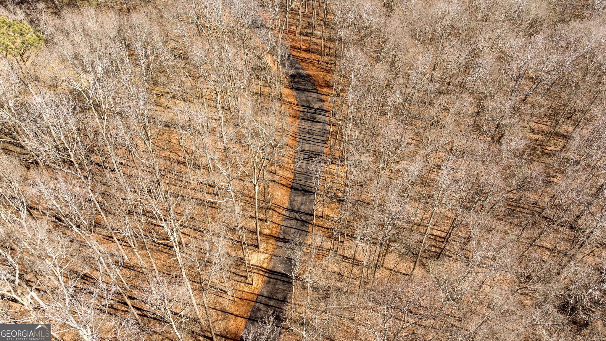 0 Highway 334 Nicholson, GA 30565 - Photo 41 of 43
