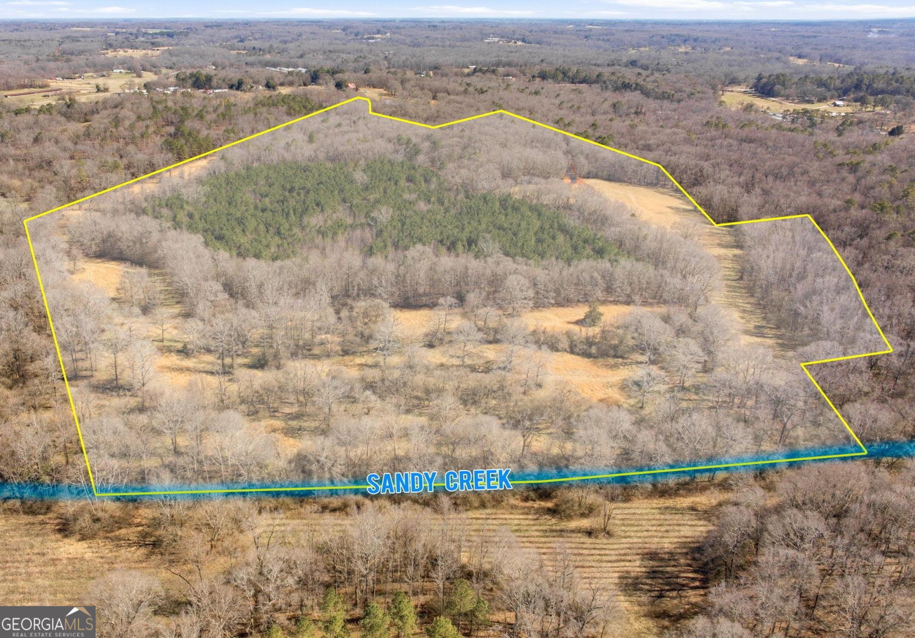 0 Highway 334 Nicholson, GA 30565 - Photo 5 of 43