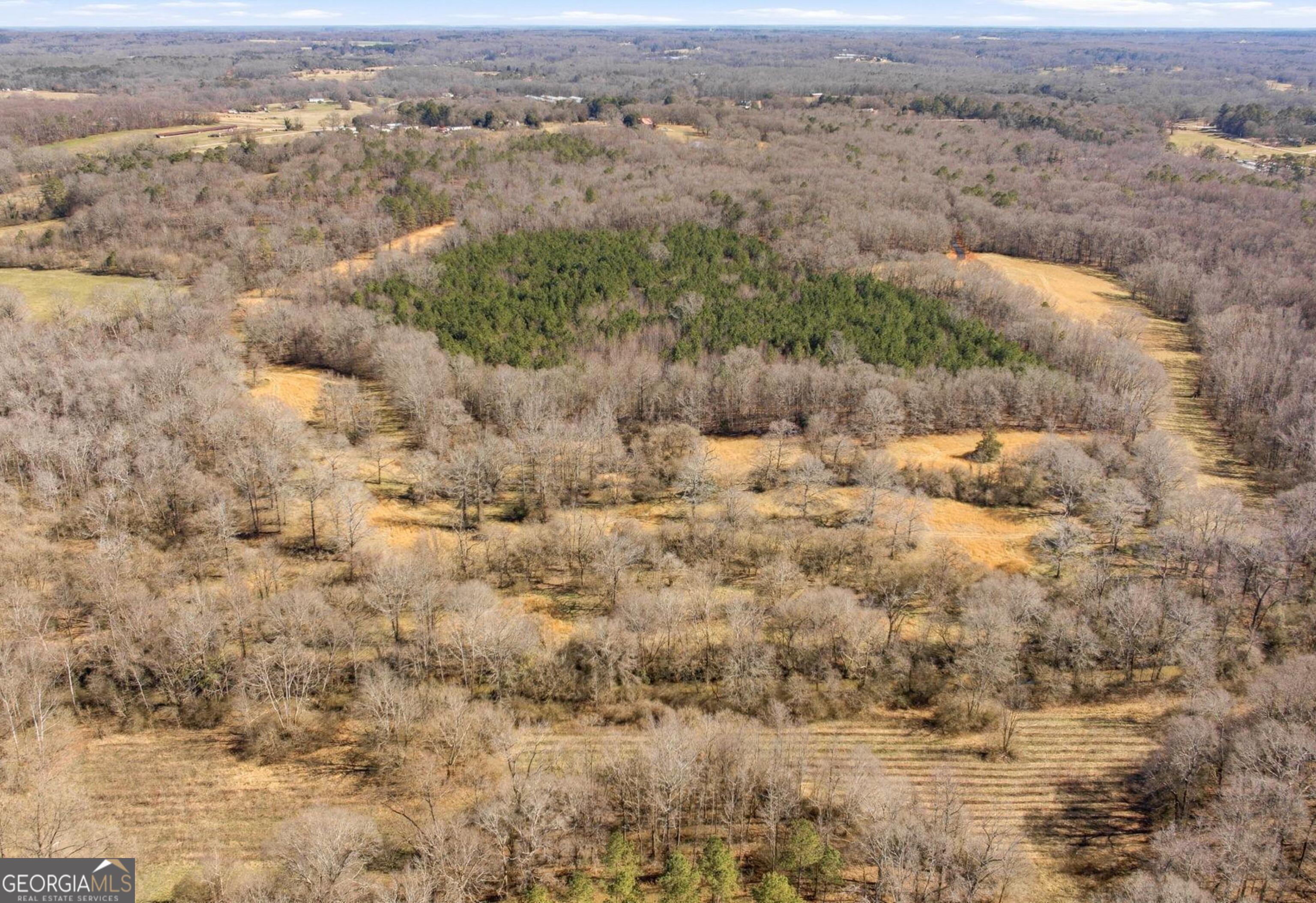 0 Highway 334 Nicholson, GA 30565 - Photo 6 of 43