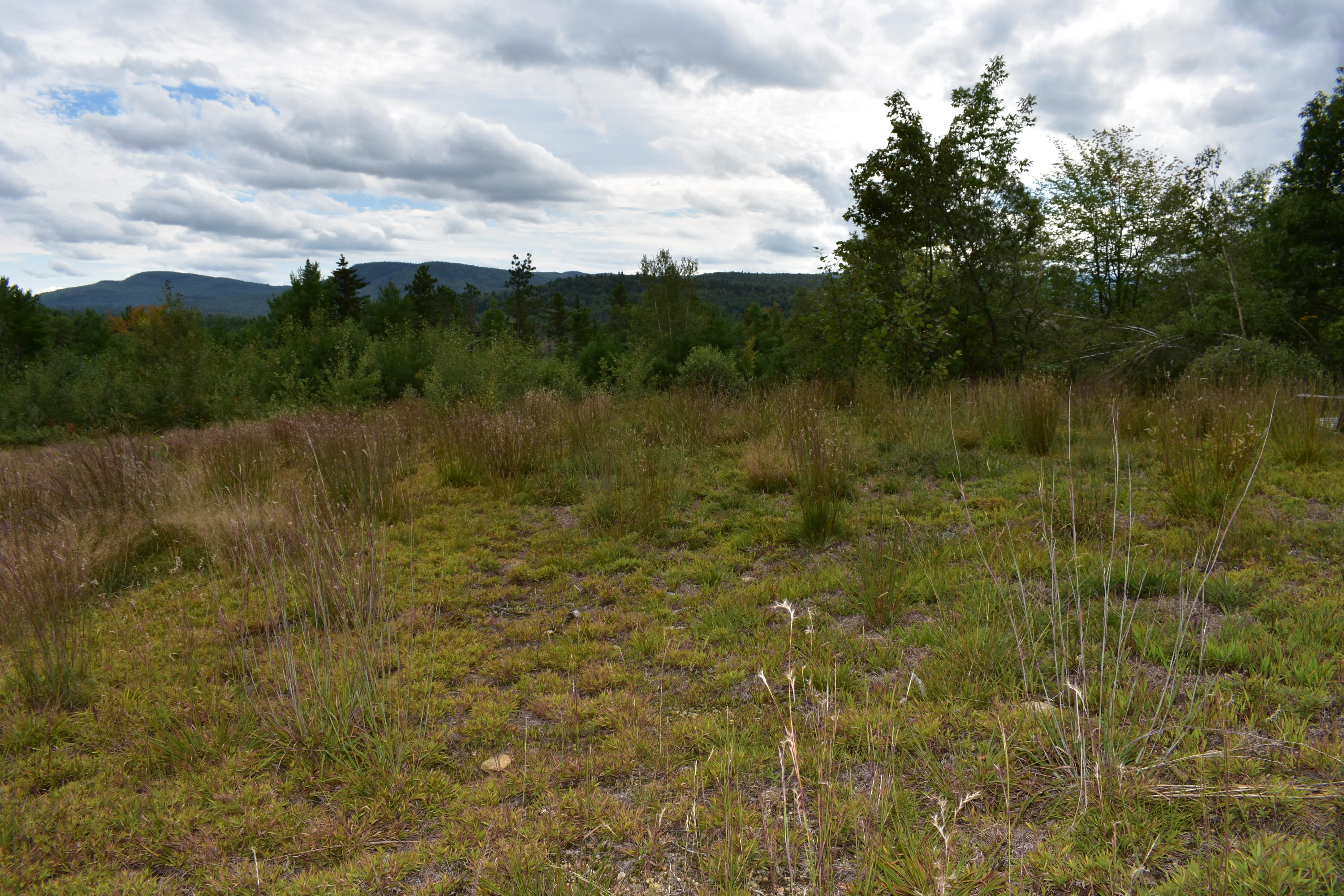 813 Grover Hill Road Bethel, ME 04217 - Photo 25 of 60 DSC_0165_289