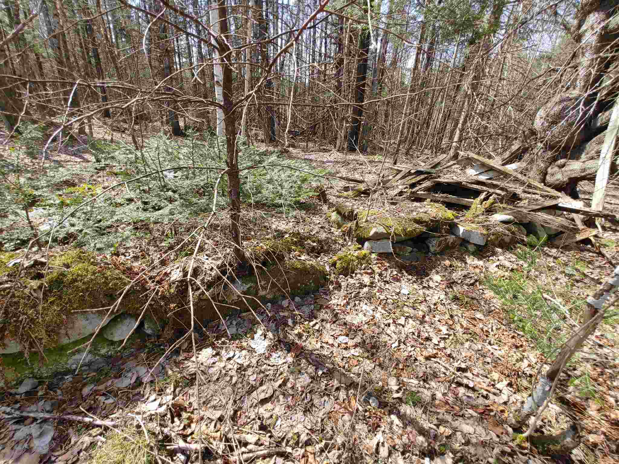 0 Keenan Pond Road Topsham, VT 05076 - Photo 14 of 20