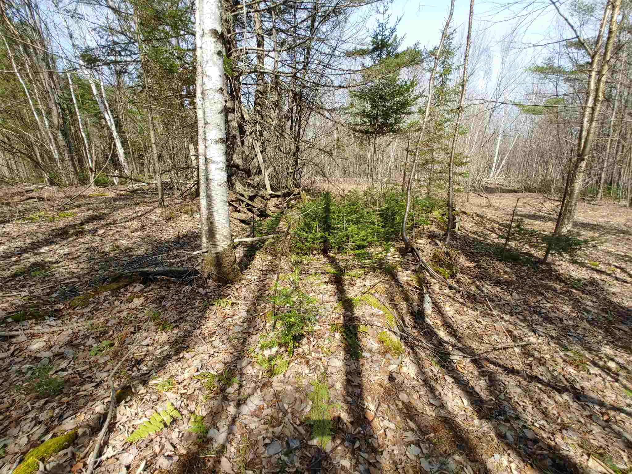 0 Keenan Pond Road Topsham, VT 05076 - Photo 15 of 20
