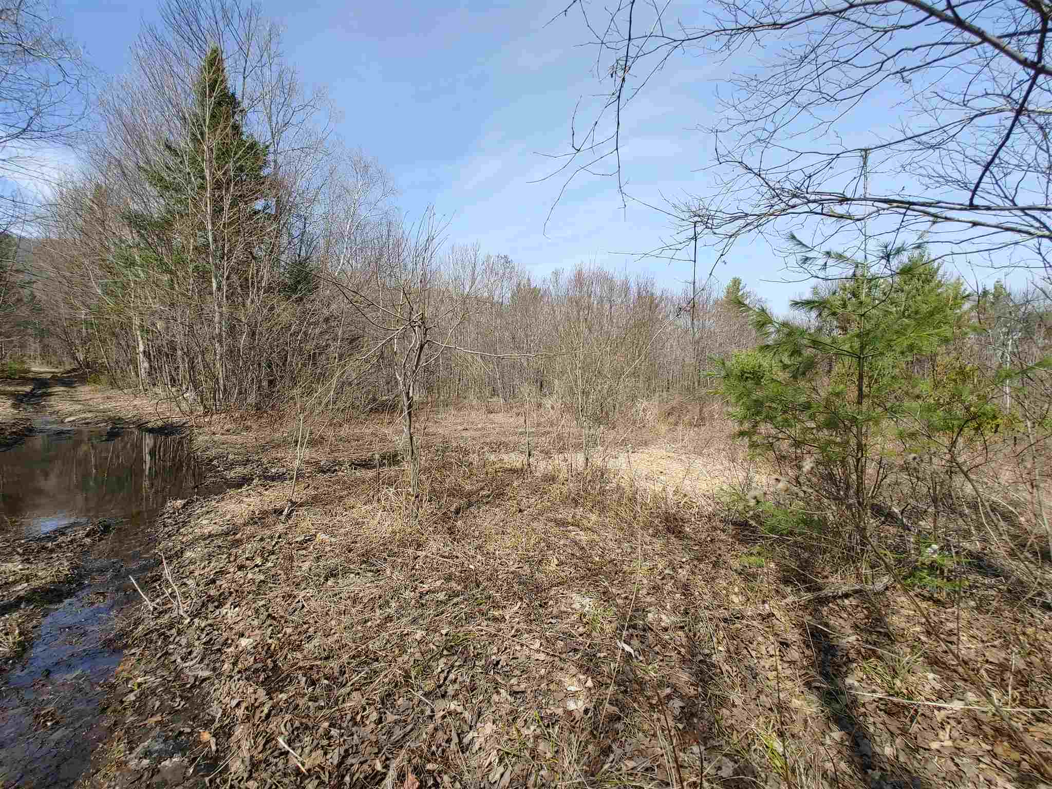 0 Keenan Pond Road Topsham, VT 05076 - Photo 3 of 20
