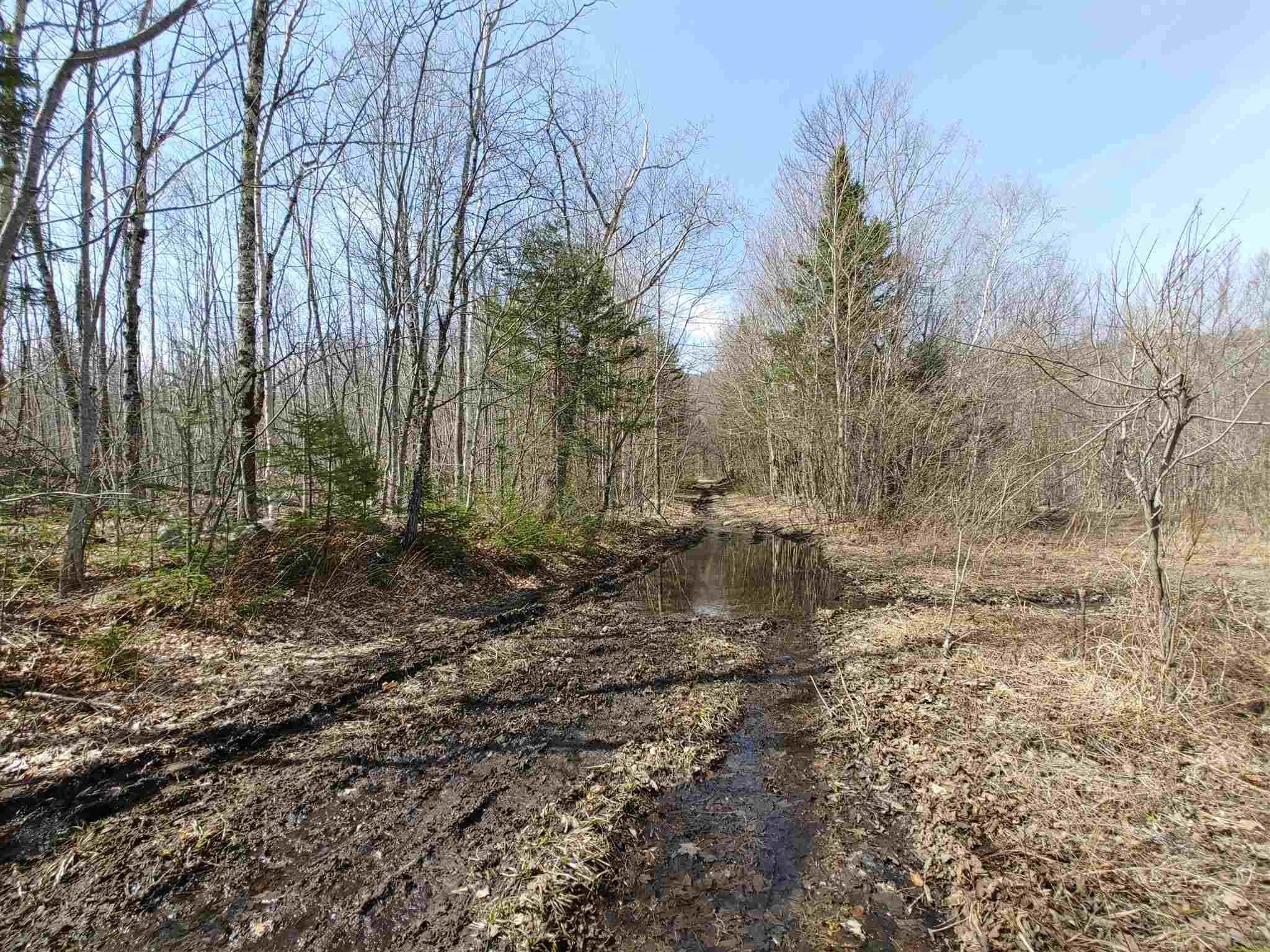 0 Keenan Pond Road Topsham, VT 05076 - Photo 4 of 20