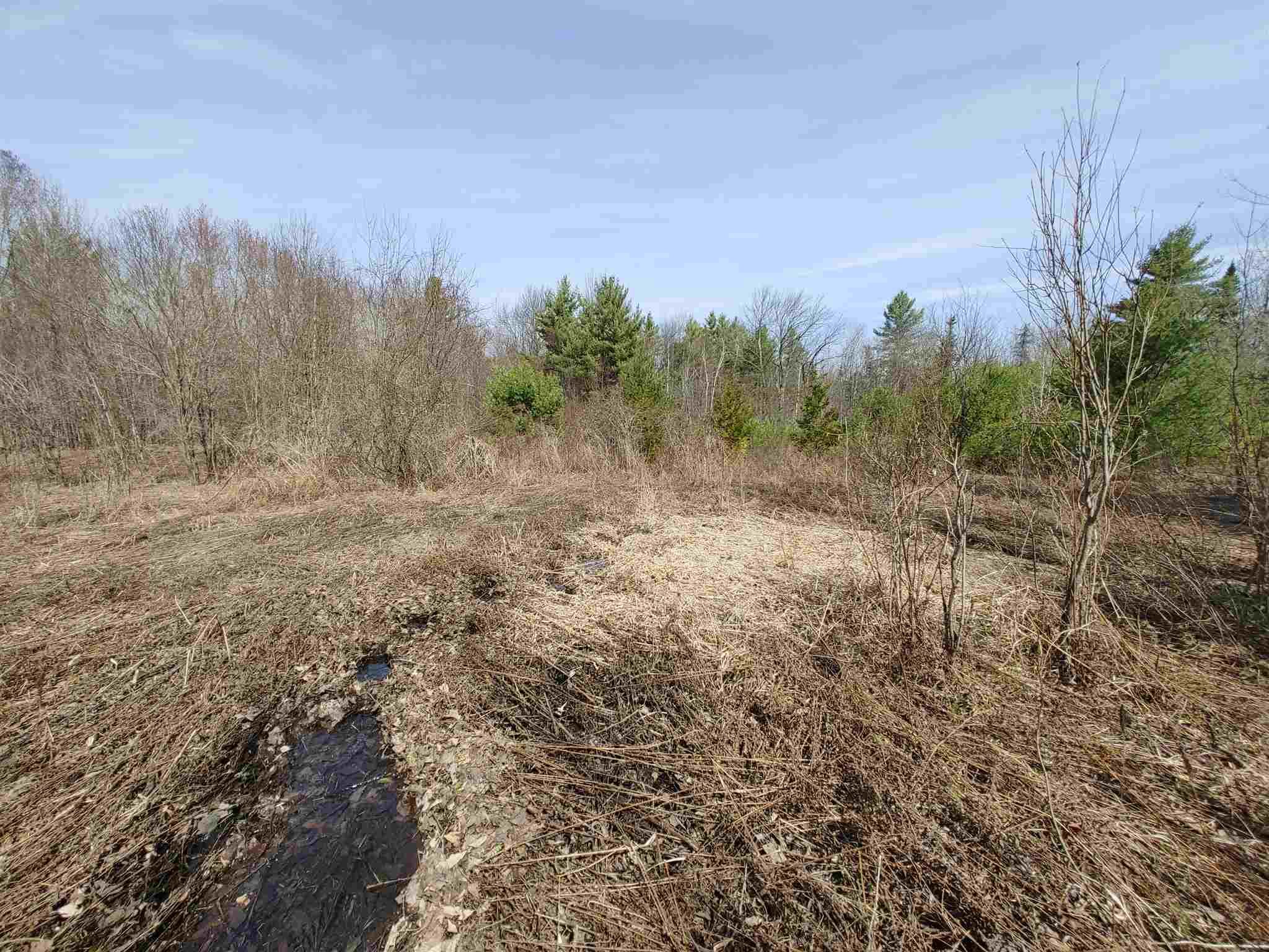 0 Keenan Pond Road Topsham, VT 05076 - Photo 5 of 20