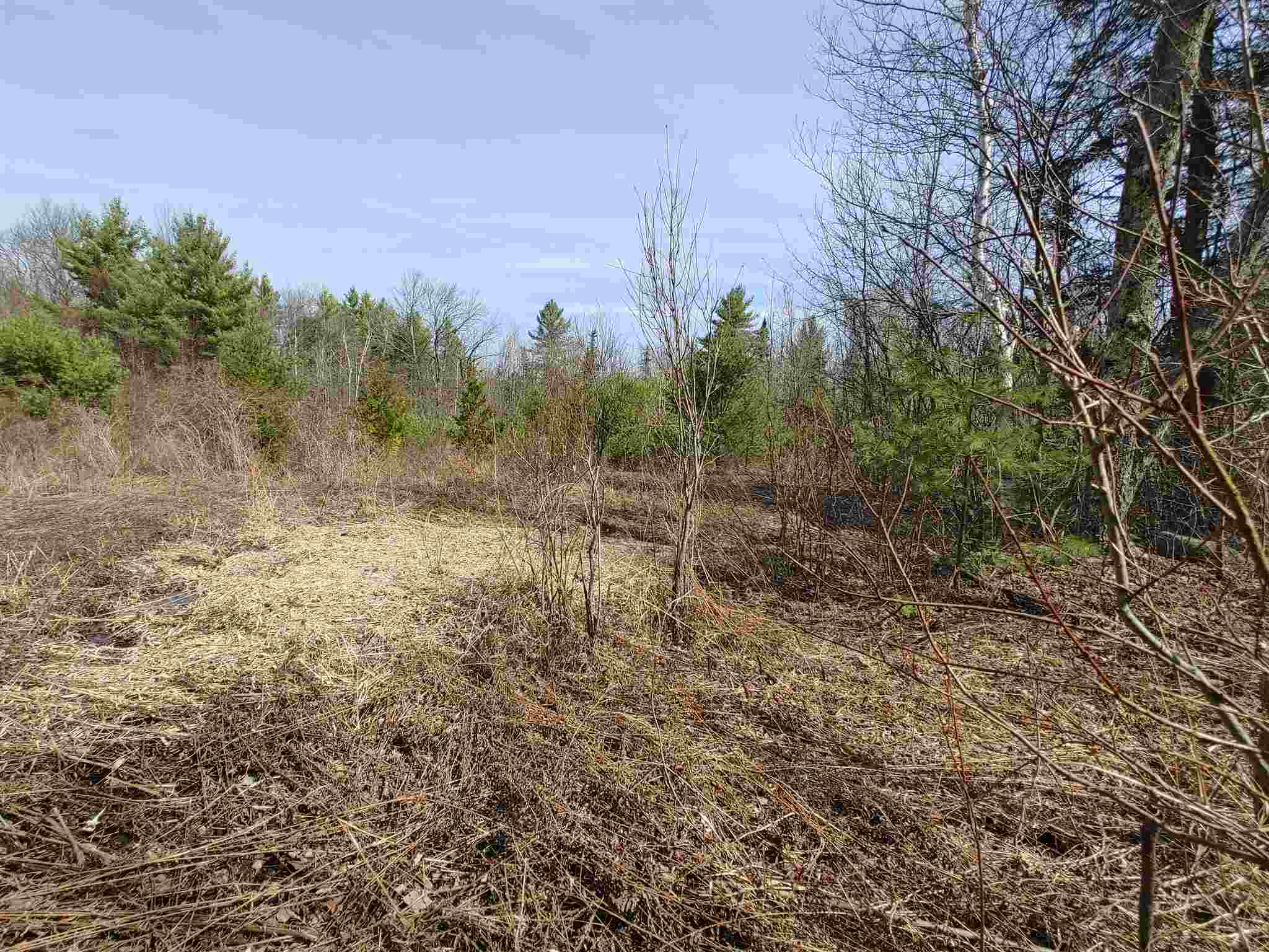 0 Keenan Pond Road Topsham, VT 05076 - Photo 6 of 20