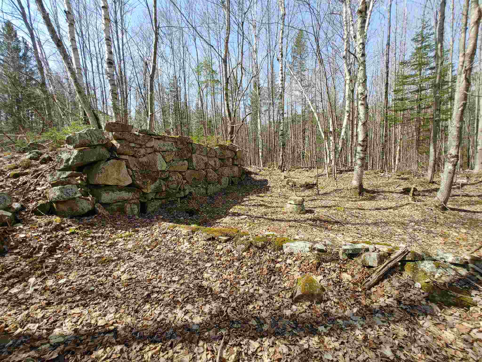 0 Keenan Pond Road Topsham, VT 05076 - Photo 10 of 20