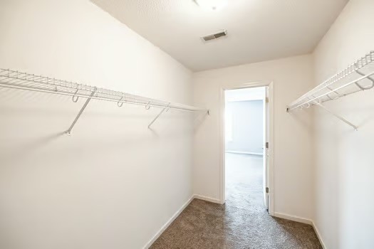 2029 Copper Kettle Circle Pleasant View, TN 37146 - Photo 50 of 58 a view of small space