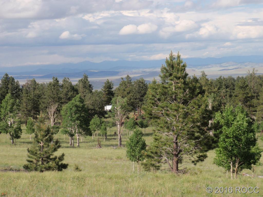 1118 Kaufman Road Hartsel, CO 80449 - Photo 8 of 13
