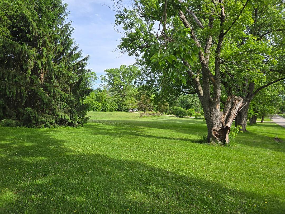 187 East Francis Road New Lenox, IL 60451 - Photo 6 of 16 Gallery Image 6
