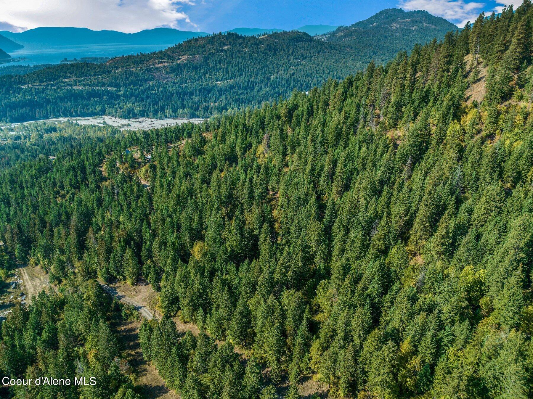 818 Silver Creek Road Clark Fork, ID 83811 - Photo 14 of 45 Amazing Vistas