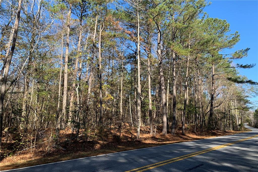 0 Campbellton Redwine Road Palmetto, GA 30268 - Photo 3 of 7 a view of outdoor space and street view