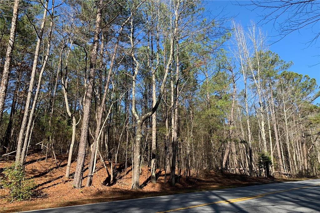 0 Campbellton Redwine Road Palmetto, GA 30268 - Photo 4 of 7 a view of yard