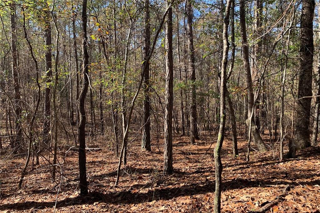 0 Campbellton Redwine Road Palmetto, GA 30268 - Photo 5 of 7 a view of a forest