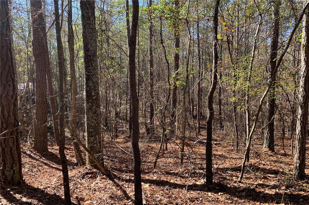 0 Campbellton Redwine Road Palmetto, GA 30268 - Photo 6 of 7 a view of forest