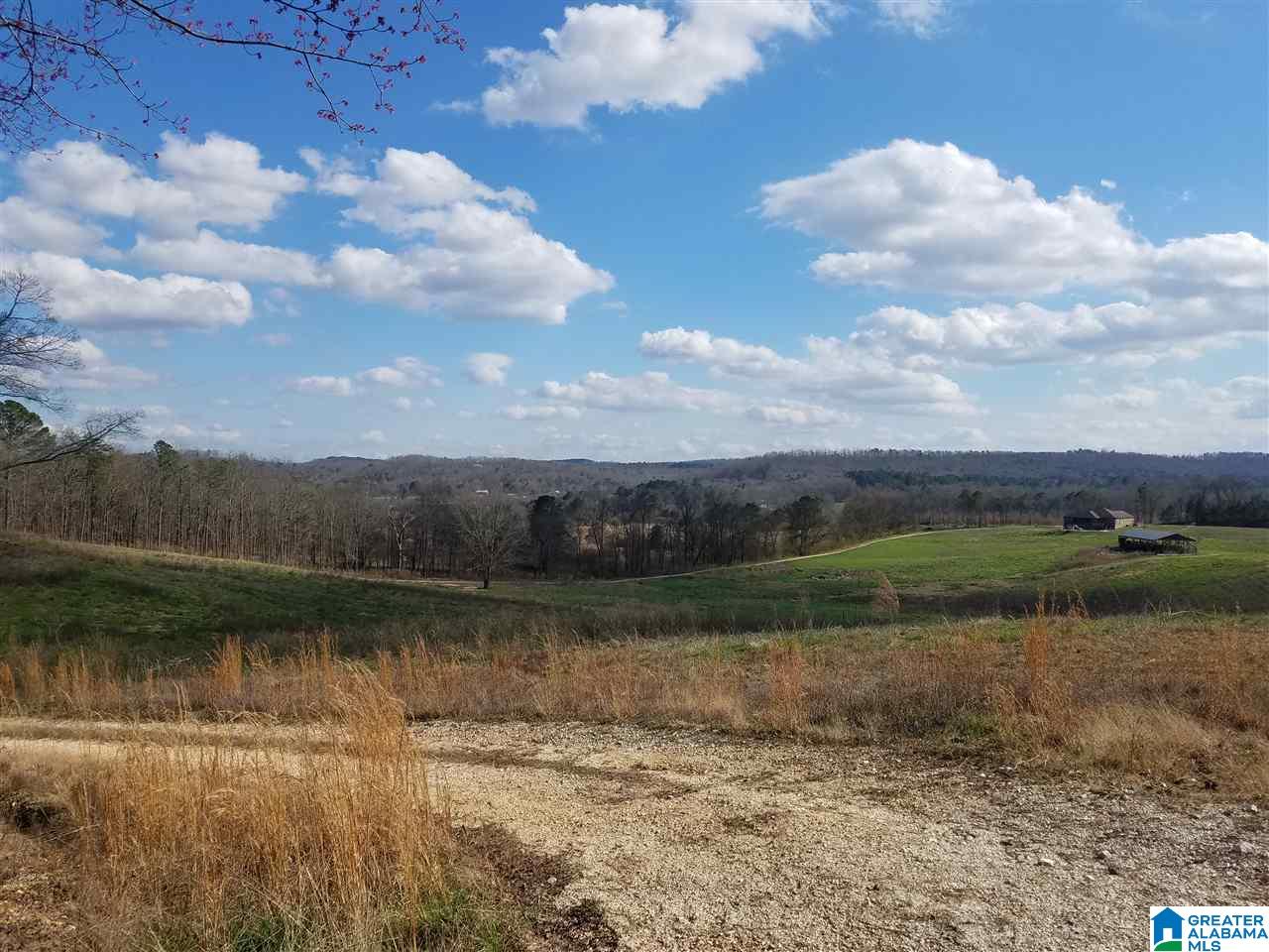 500 Lake Street Springville, AL 35146 - Photo 4 of 31
